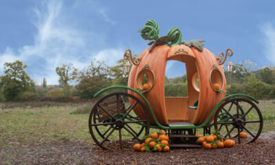 E-news Image - Wasing Pumpkin Event - Pumpkin Carriage - Photo Credit @Wasing1200