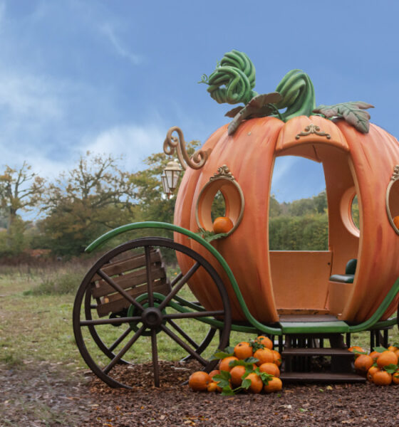 E-news Image - Wasing Pumpkin Event - Pumpkin Carriage - Photo Credit @Wasing1200