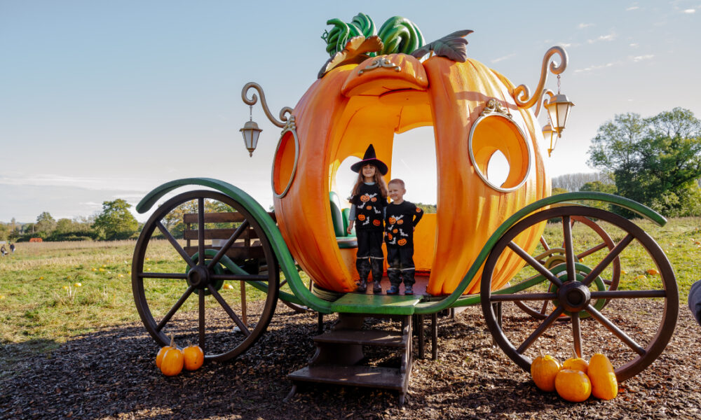 Wasing-Pumpkin-Even-Pumpkin Carriage- Photo Credit @Wasing1759