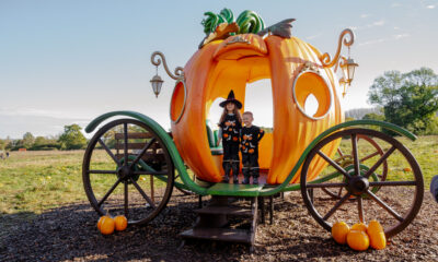 Wasing-Pumpkin-Even-Pumpkin Carriage- Photo Credit @Wasing1759