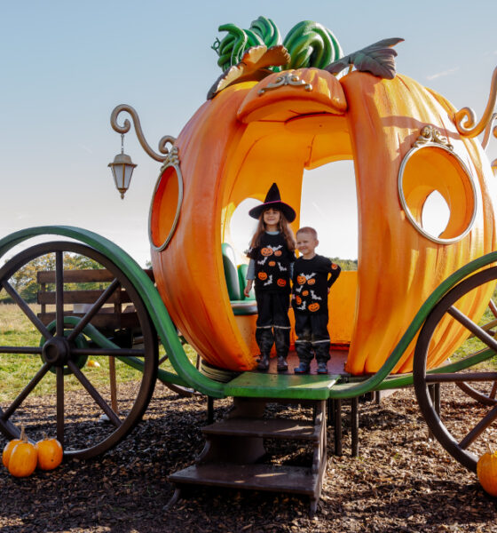 Wasing-Pumpkin-Even-Pumpkin Carriage- Photo Credit @Wasing1759
